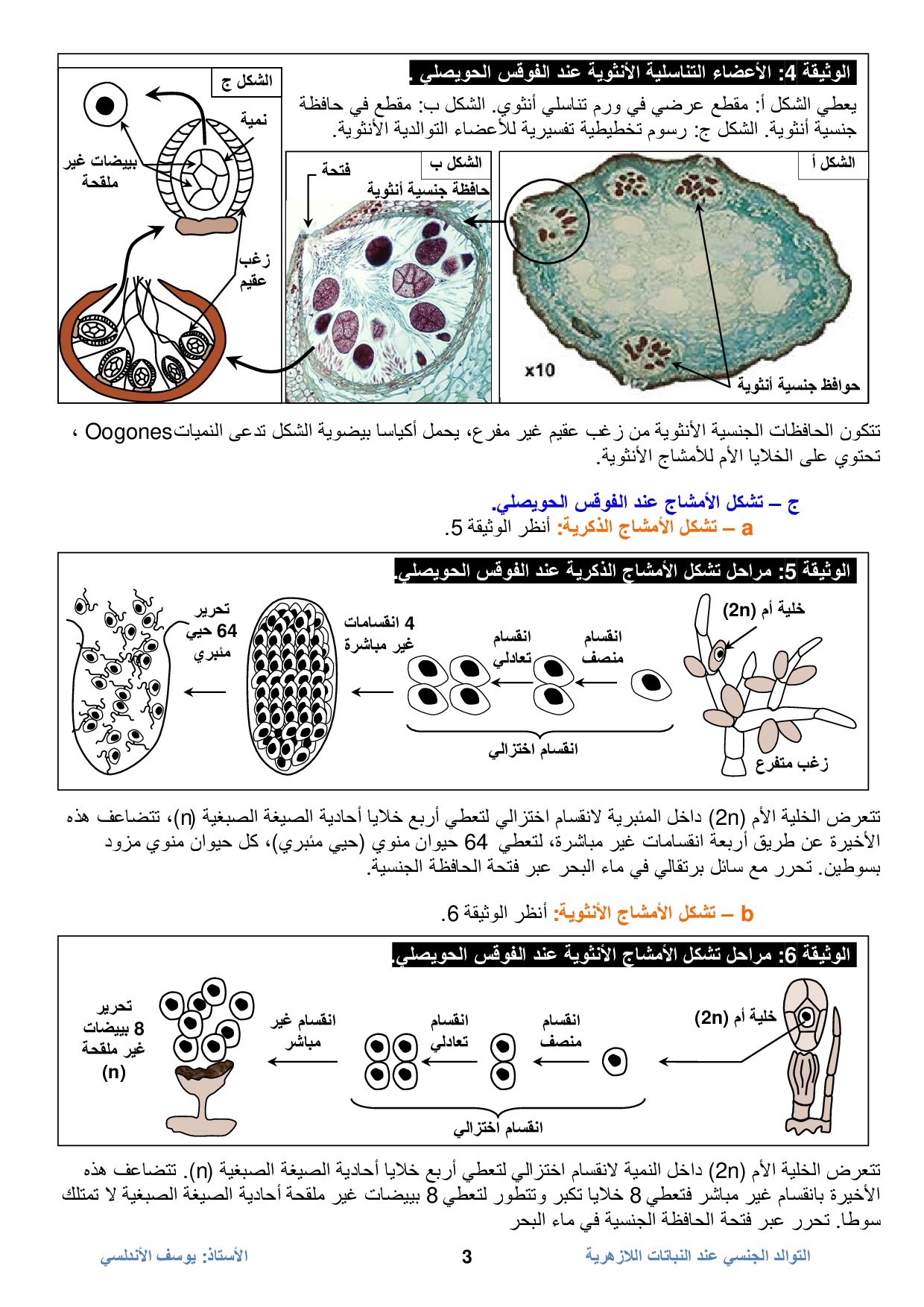 التوالد الجنسي عند النباتات اللازهرية الدرس 1 Alloschool