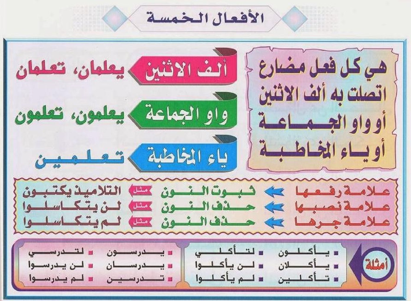 المخلوقات التي تتكاثر تبعا لإستراتيجية القدرة الإستيعابيه مثل