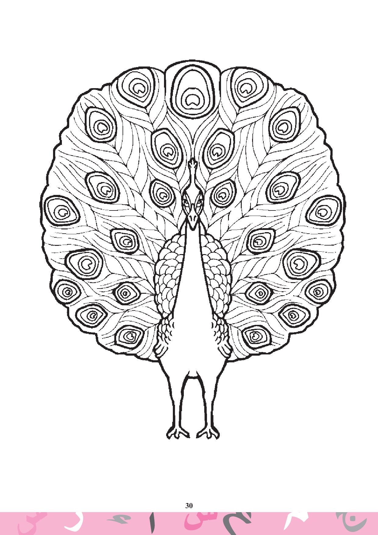 Рисунок павлина с распущенным хвостом