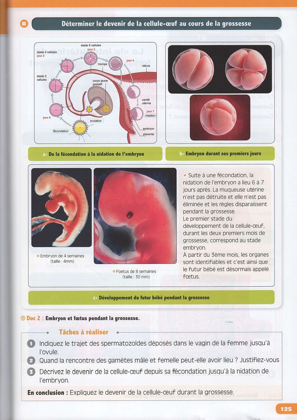 La Reproduction Humaine Cours Manuel Alloschool