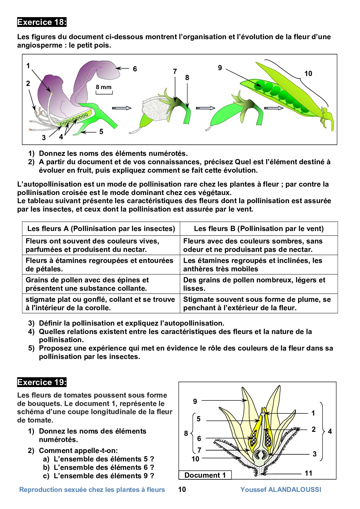 La Reproduction Sexuée Chez Les Plantes à Fleurs Série Dexercices 1 Alloschool 