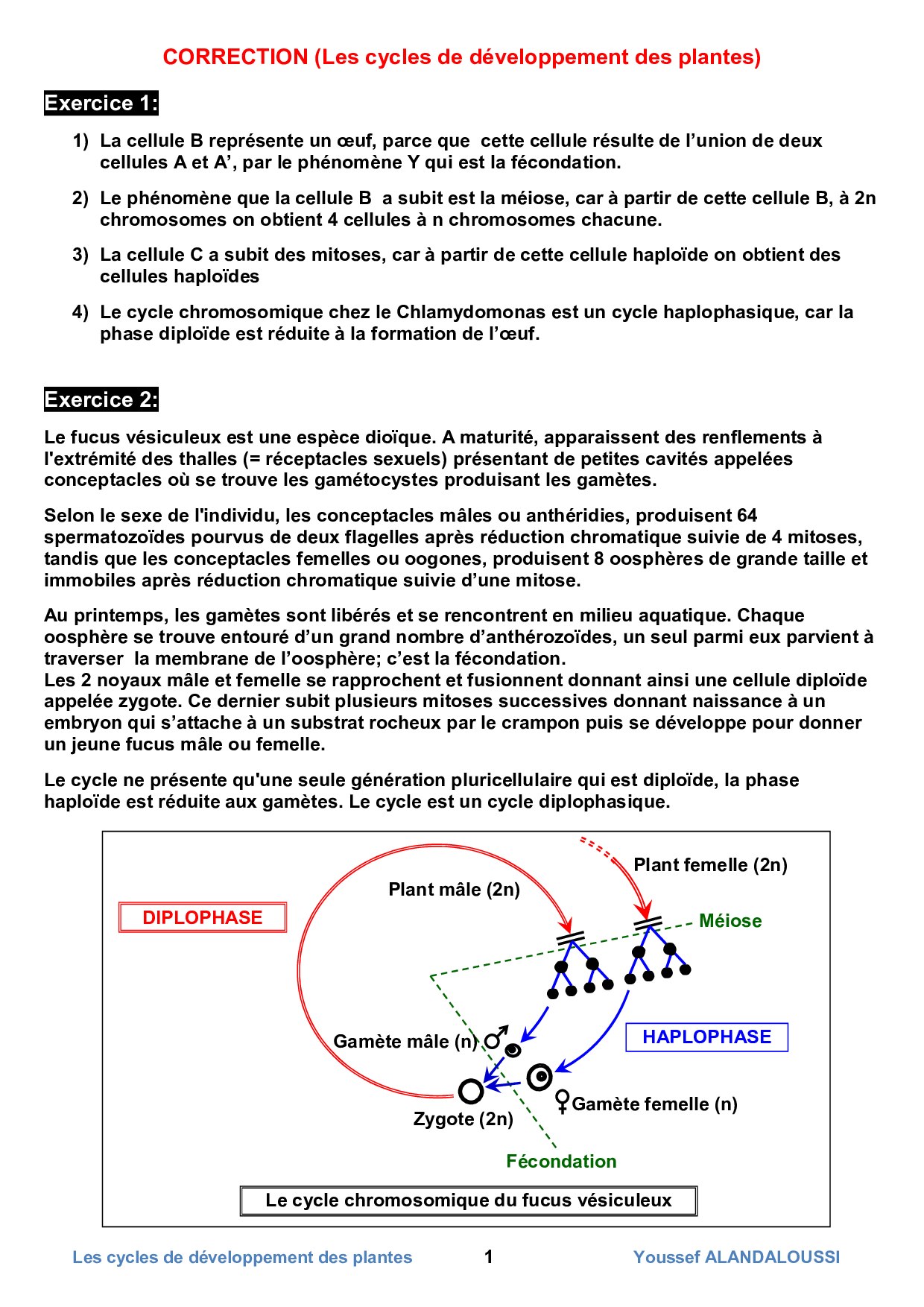 Développement - Série d'exercices 2 - AlloSchool