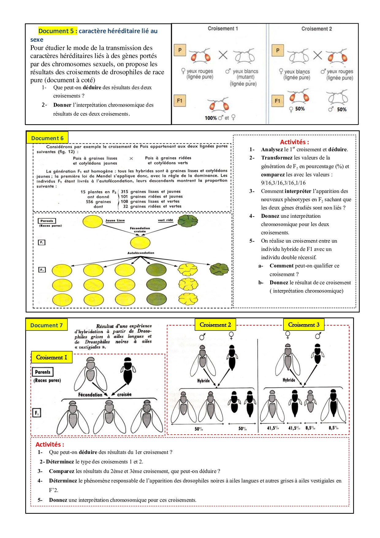 Lois statistiques de la transmission des caract res h r ditaires