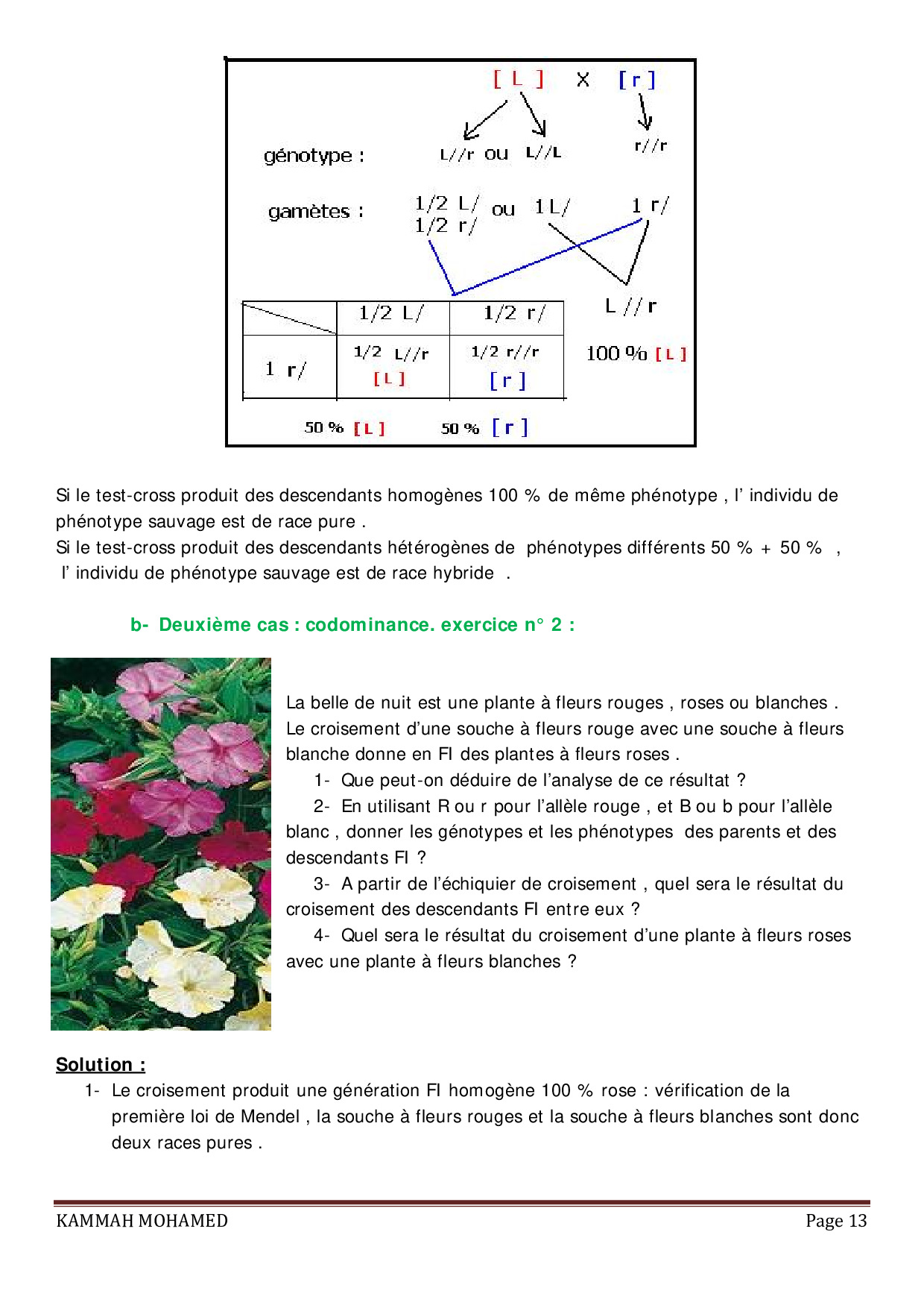 Transmission De Linformation Génétique Par La Reproduction Sexuée Cours 3 Alloschool 6652