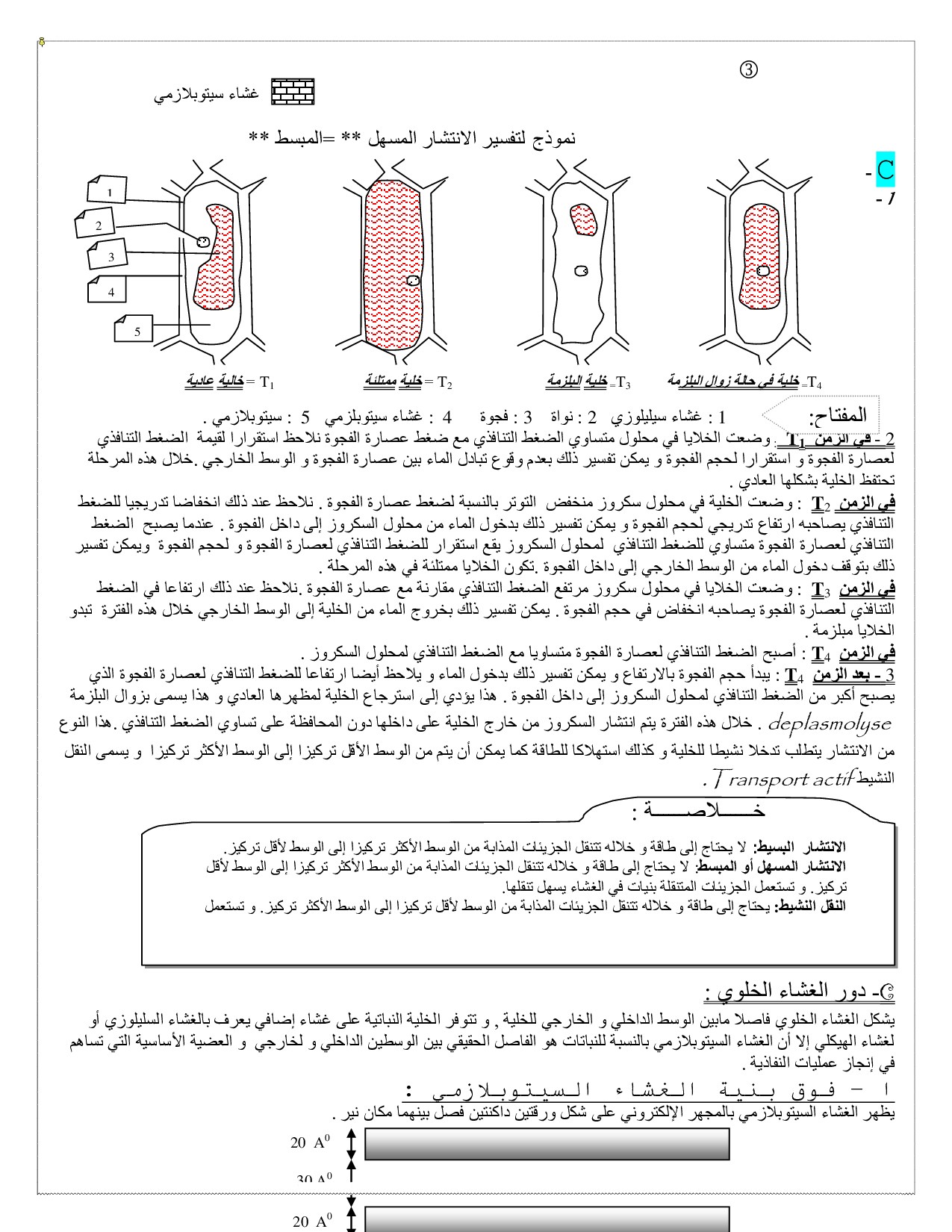  تمارين مرفقة بالحل شعبة : علوم تجريبية 0007-big