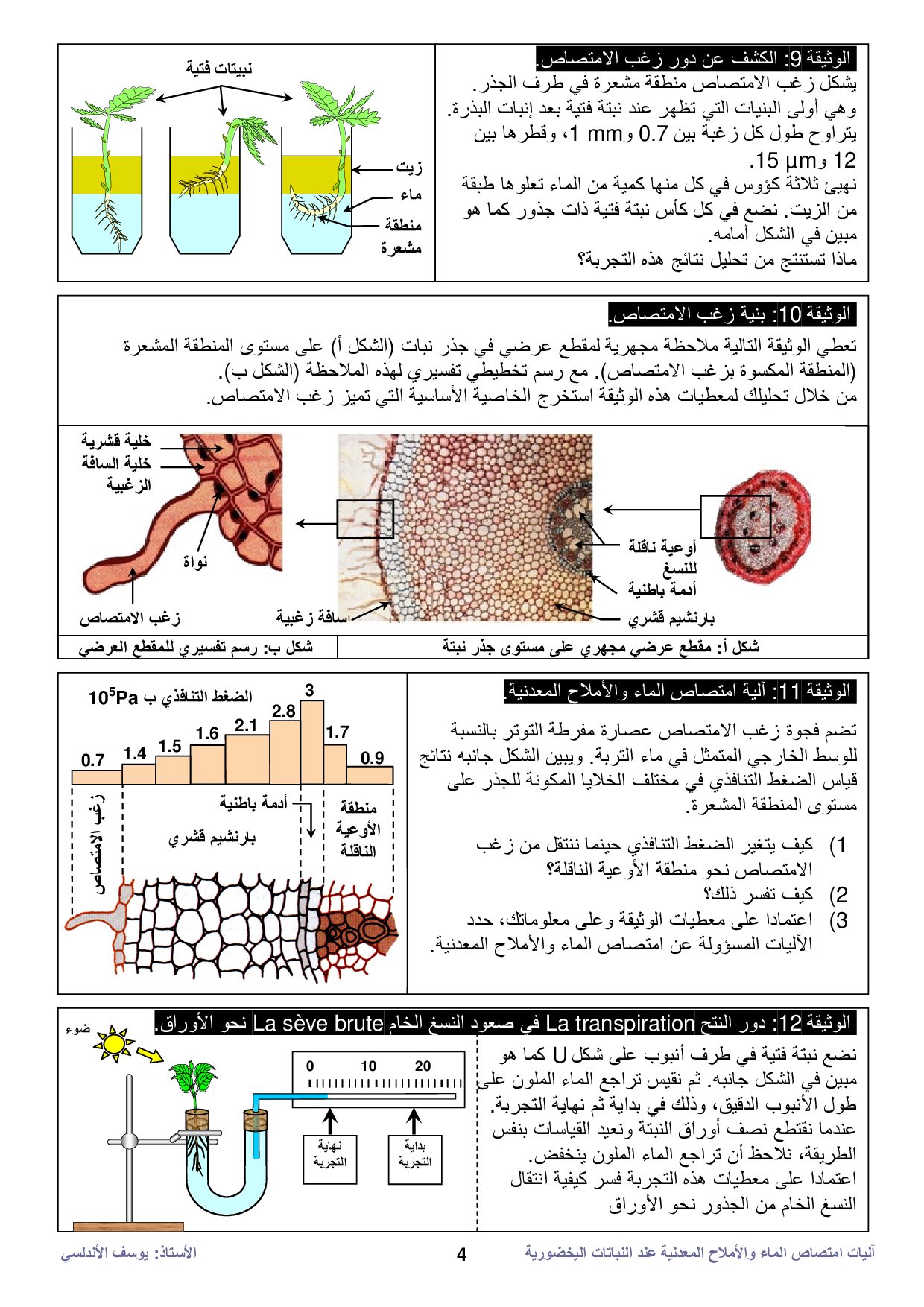 جزء النبات المسؤول عن امتصاص الماء والأملاح من التربة السيقان