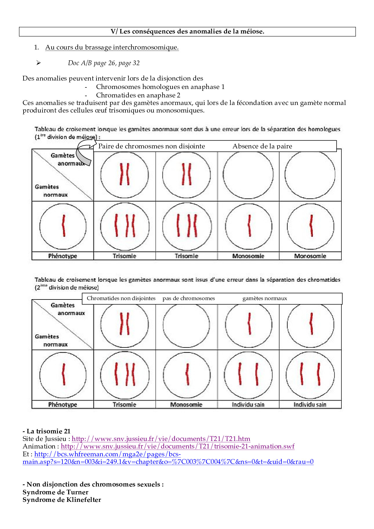 Correction Fiche Dactivités Les Conséquences Des Anomalies De La Méiose Alloschool 