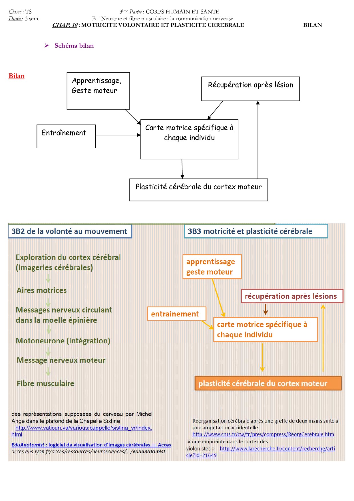 Motricite Volontaire Et Plasticite Cerebrale Fiche De Revision Alloschool