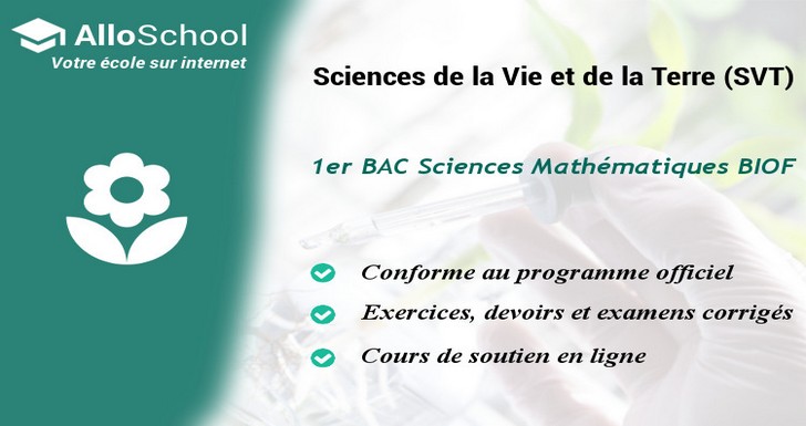 Alloschool 2 Bac Pc Biof Physique 4529