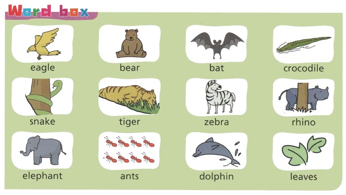 Unit 4 (Wild animals) - Activities 1 - AlloSchool