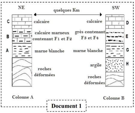 SVT : une coupe géologique du sous-sol francilien