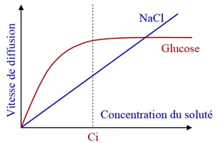 M Canismes Dabsorption De Leau Et Des Sels Min Raux Chez Les Plantes