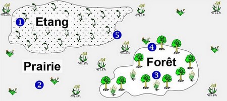 Cours 1-2 : Étude Statistique De La Répartition Des Organismes - AlloSchool